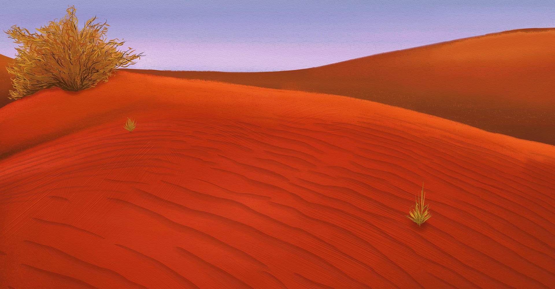 Australian Desert - Desert Illustration - ANiMOZ BiOME Art