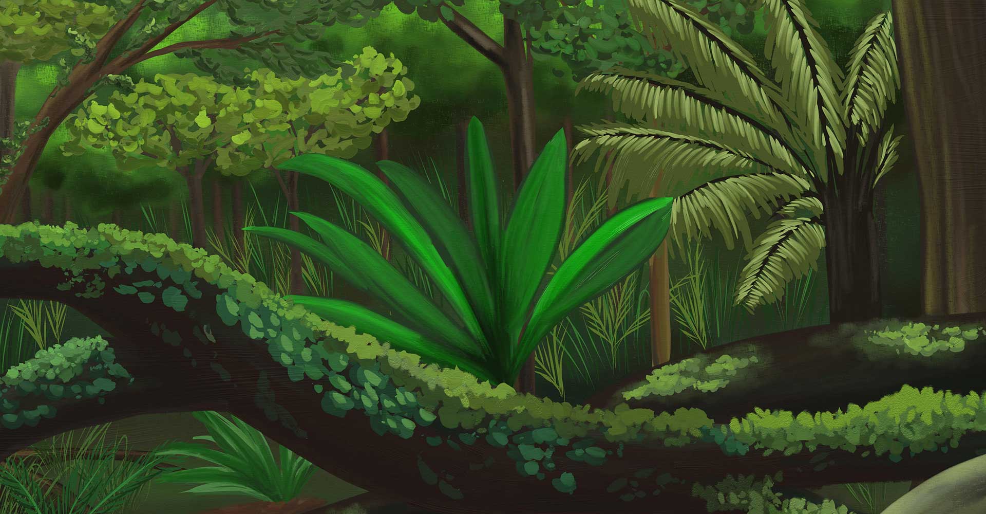 Australian Forest - Forest Illustration - ANiMOZ BiOME Art