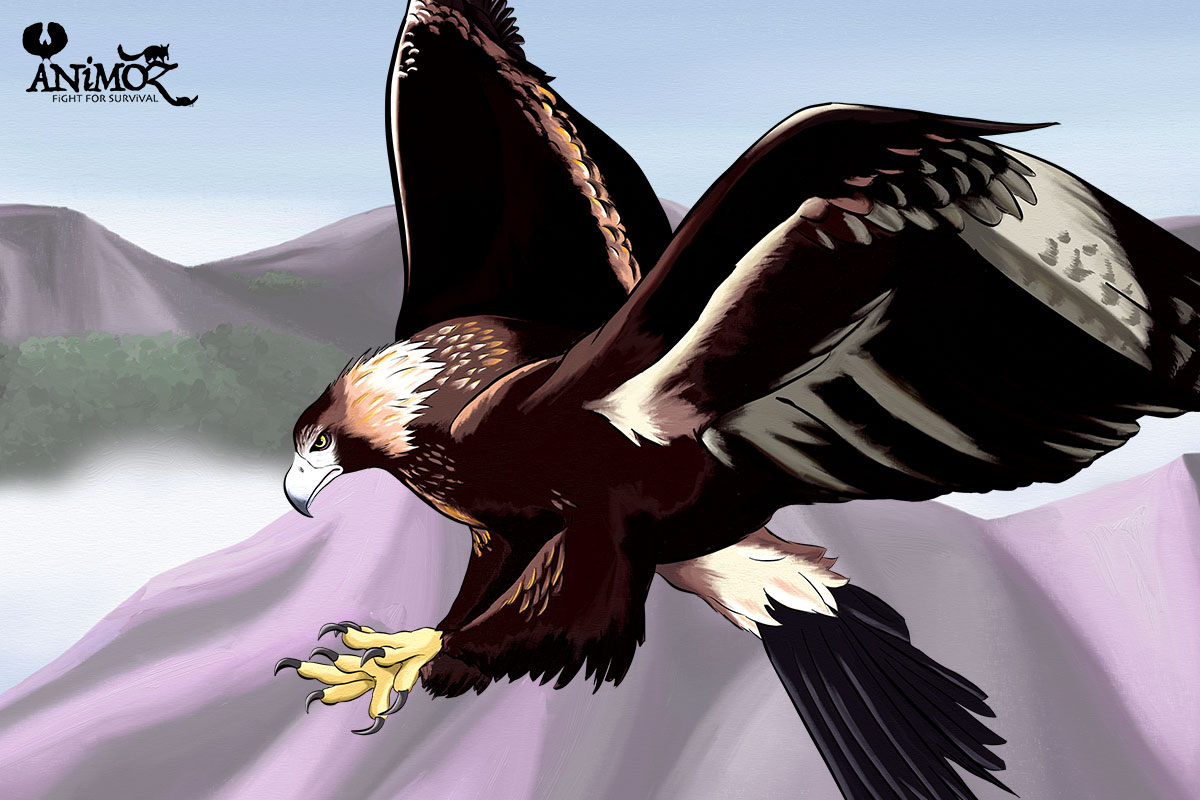 AUDAX - Wedge-tailed eagle - ANiMOZ - Fight for Survival - The game changing conservation - Collectible Card Game