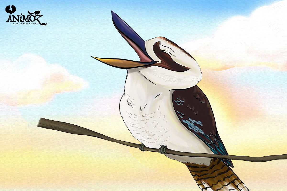 NOVA - Laughing kookaburra - ANiMOZ - Fight for Survival - The game changing conservation - Collectible Card Game