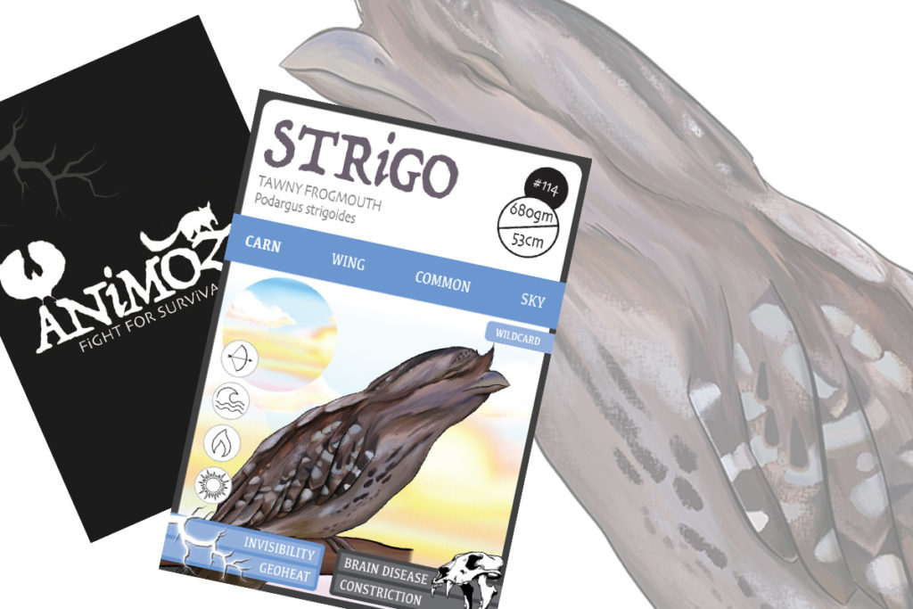 STRiGO - ANiMOZ - Fight for Survival - Australian Bird of the Year 2019 - Tawny Frogmouth Collectible Card