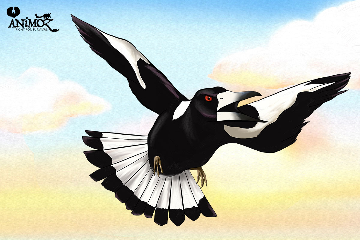 TiBi - Black-backed magpie - ANiMOZ - Fight for Survival - The game changing conservation - Collectible Card Game