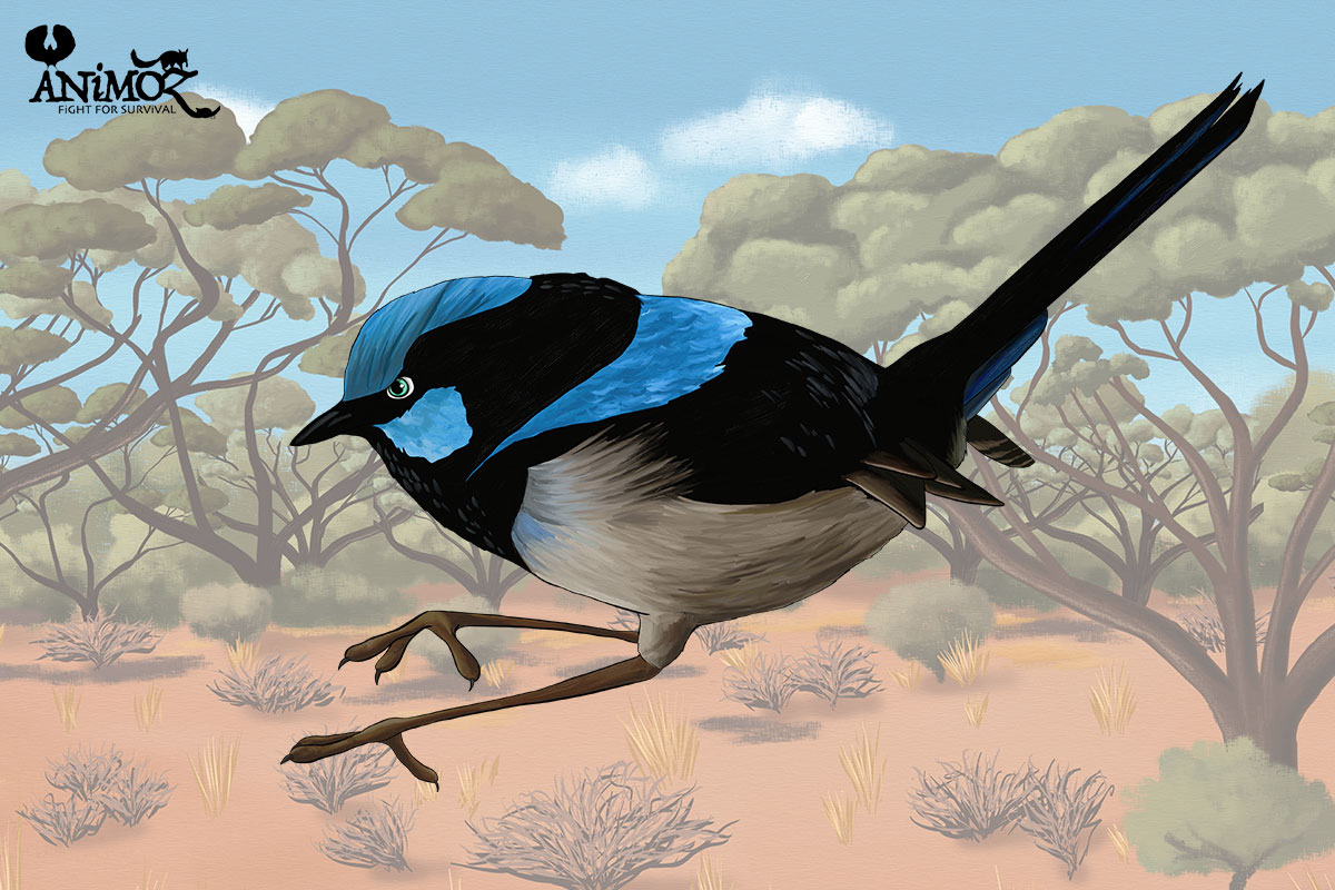 YAN - Superb fairywren - ANiMOZ - Fight for Survival - The game changing conservation - Collectible Card Game