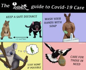 ANiMOZ-guide-to-COVID-19-care - Australian animals - Coronavirus - Infographic
