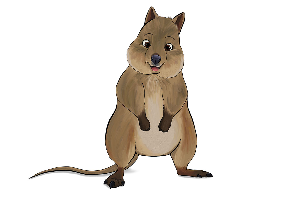 BRACHY - ANiMOZ - Fight for Survival - Australian animals collectible card game - Species profile - Quokka