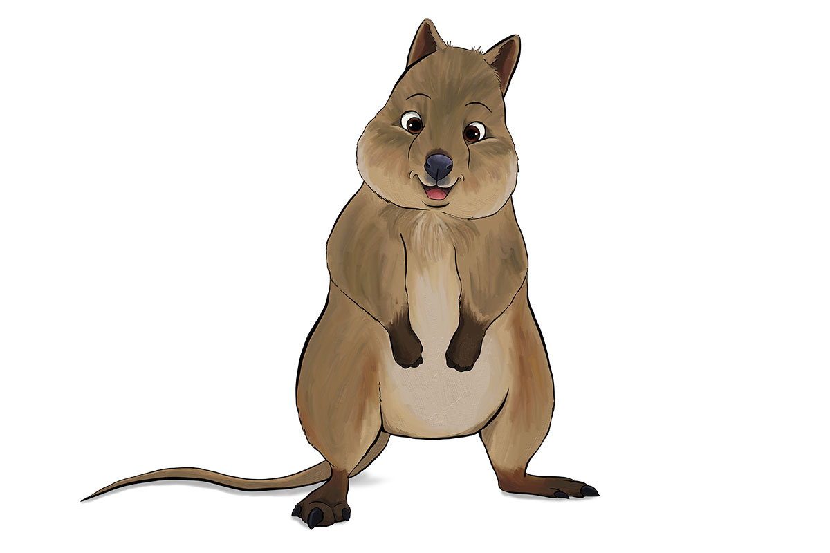 Quokka Animated Gif