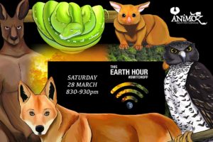 Earth Hour 2020 - ANiMOZ by candlelight - ANiMOZ - Fight for Survival - what to do during Earth Hour 2020 - Card Game of Australian animals - Games for Kids