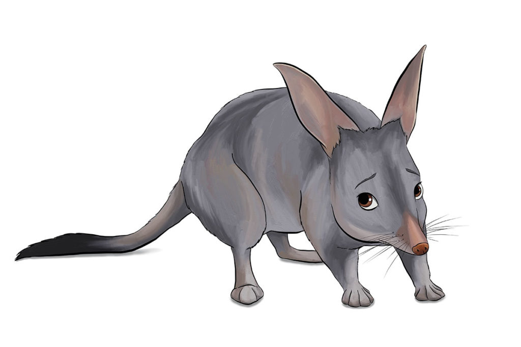 LAGOTi Greater Bilby - ANiMOZ - Fight for Survival