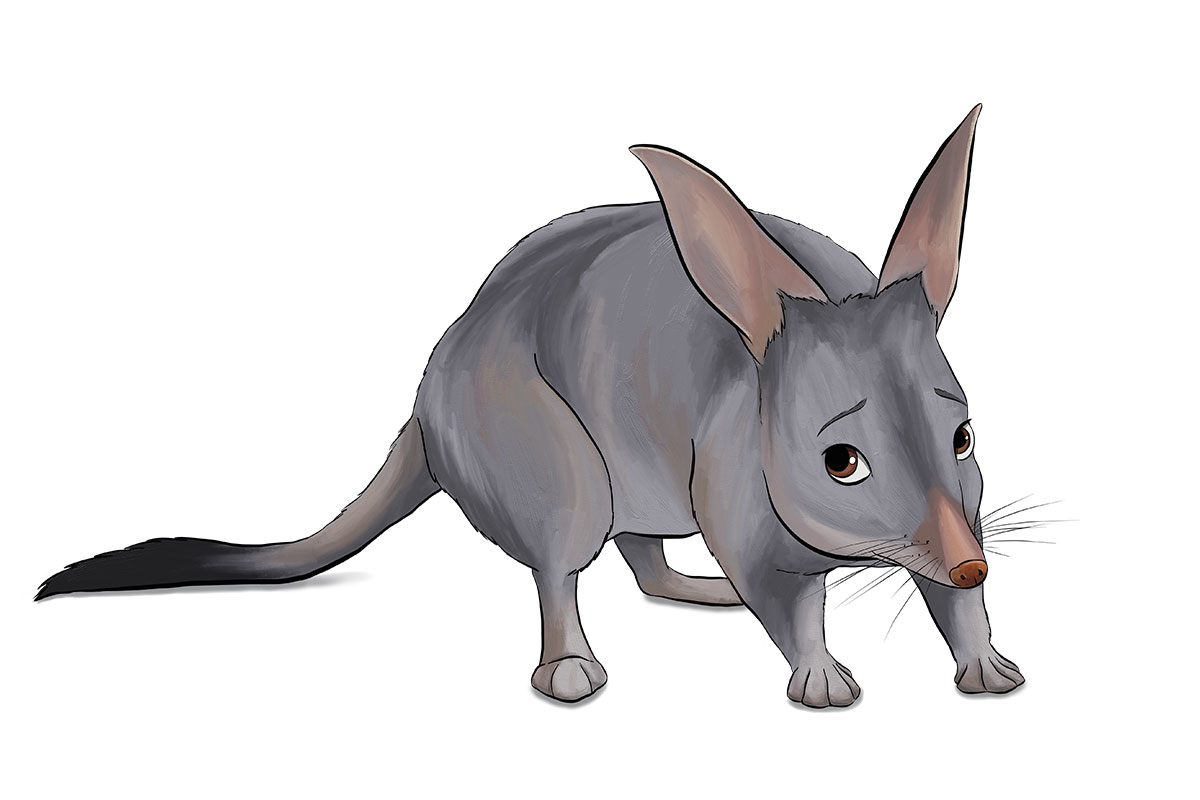 LAGOTi - ANiMOZ - Fight for Survival - Australian animals collectible card game - Species profile - Greater bilby