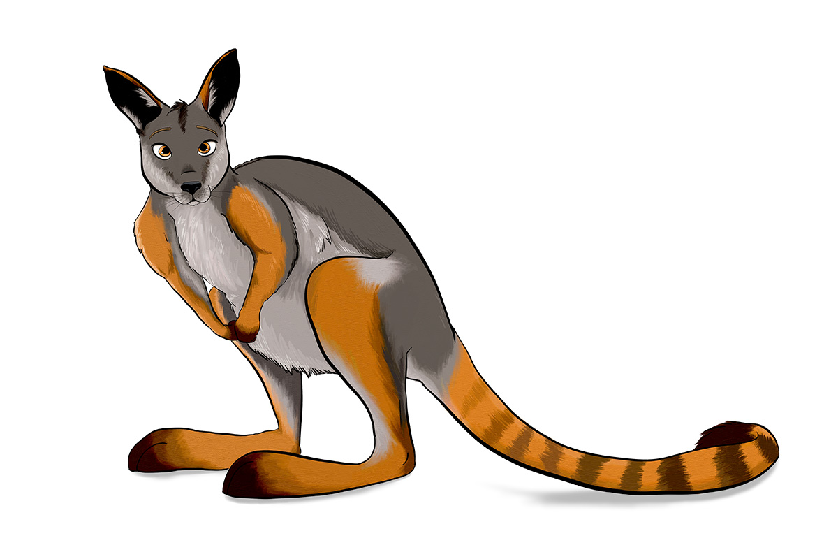 XANTHO - ANiMOZ - Fight for Survival - Australian animals collectible card game - Species profile - Yellow-footed rock wallaby