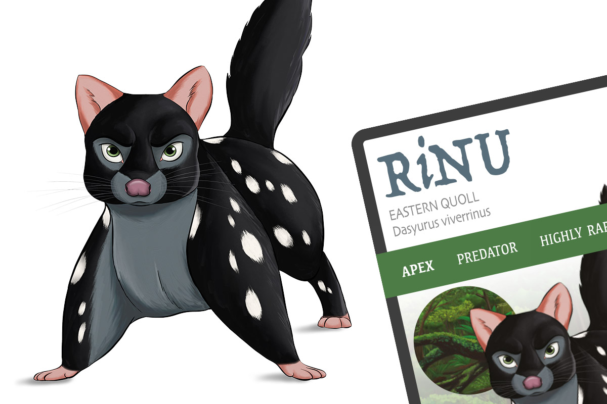 RiNU, Eastern quoll, Dasyurus viverrinus, ANiMOZ - Fight for Survival, Australian animal card game, game for kids, Australia, Endangered species