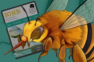 BOMBi - Teddy bear bee - Species report - Pollinator - Save the bees - ANiMOZ - trading card game - Australian wildlife - species report