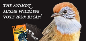 The ANiMOZ Aussie Wildlife Vote 2020 Recap - Banner - Emuwren - Booster Pack