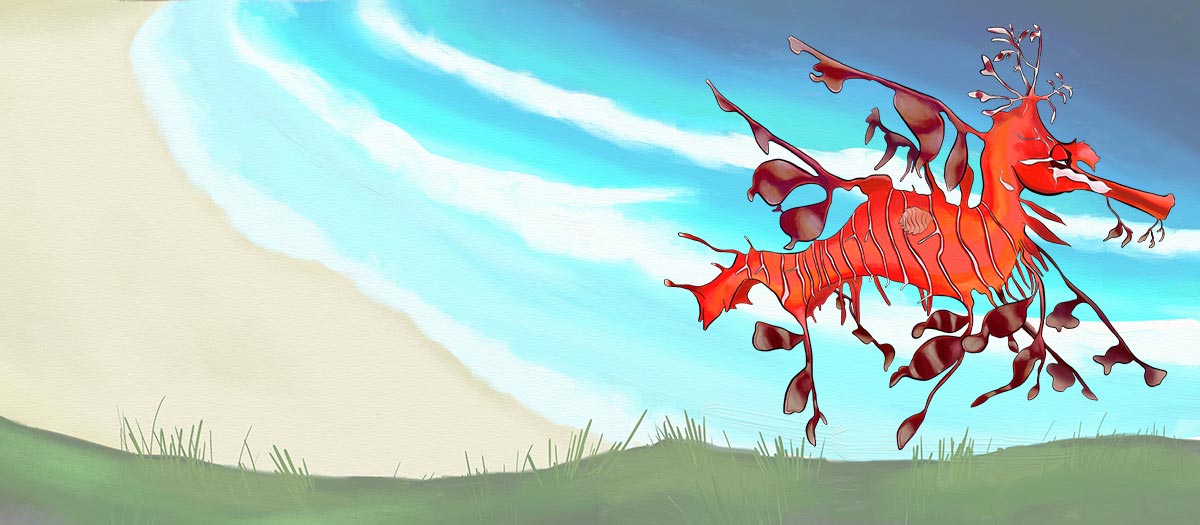 EQUES the Leafy seadragon - Coast BiOME - ANiMOZ - Fight for Survival - The card game of Australian animals.