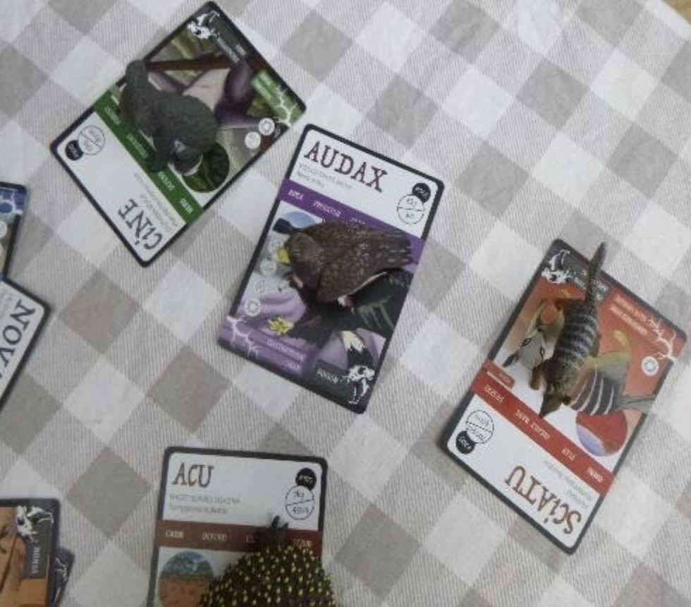 Junior Rangers from Newland Park Kindergarten in South Australia play the ANiMOZ Trading Card Game - Kids learn about Australia's endangered species - ANiMOZ Fight for Survival Card Game