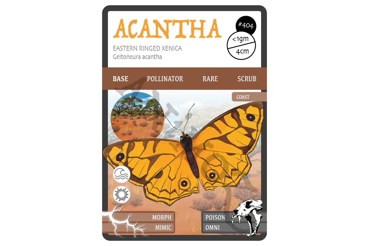 ACANTHA, Eastern Ringed Xenica, Australian animal, Card game, Animal Card, Butterfly, Conservation