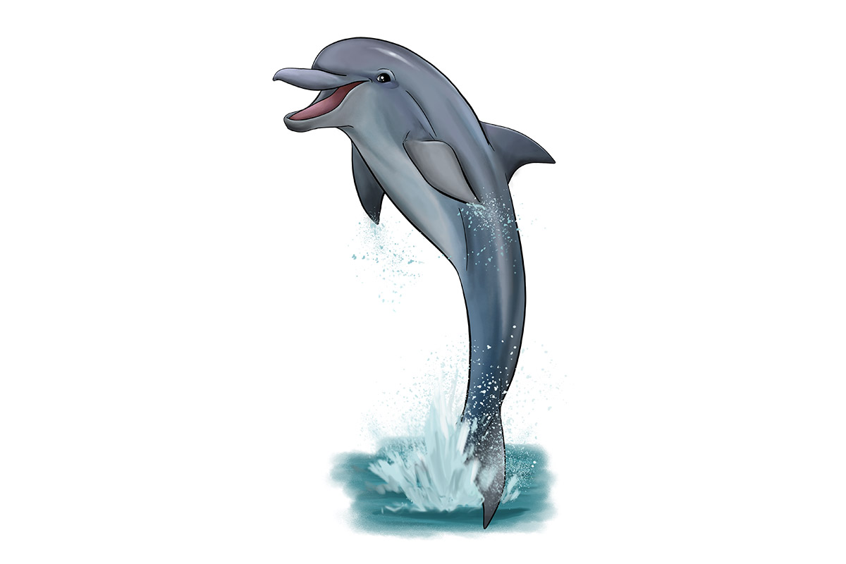 CATU the Common Bottlenose Dolphin - ANiMOZ - Fight for Survival - Australian animals collectible card game - Species profile - Booster Cards