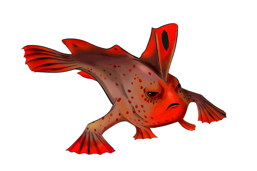 OLi the Red Handfish - ANiMOZ - Fight for Survival - Australian animals collectible card game - Species profile - Booster Cards