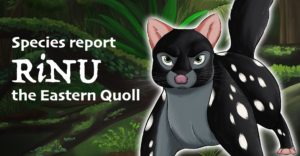 Eastern Quoll, Quoll, Species Report, Australian wildlife, ANiMOZ, Card Game, STEM, Conservation Education